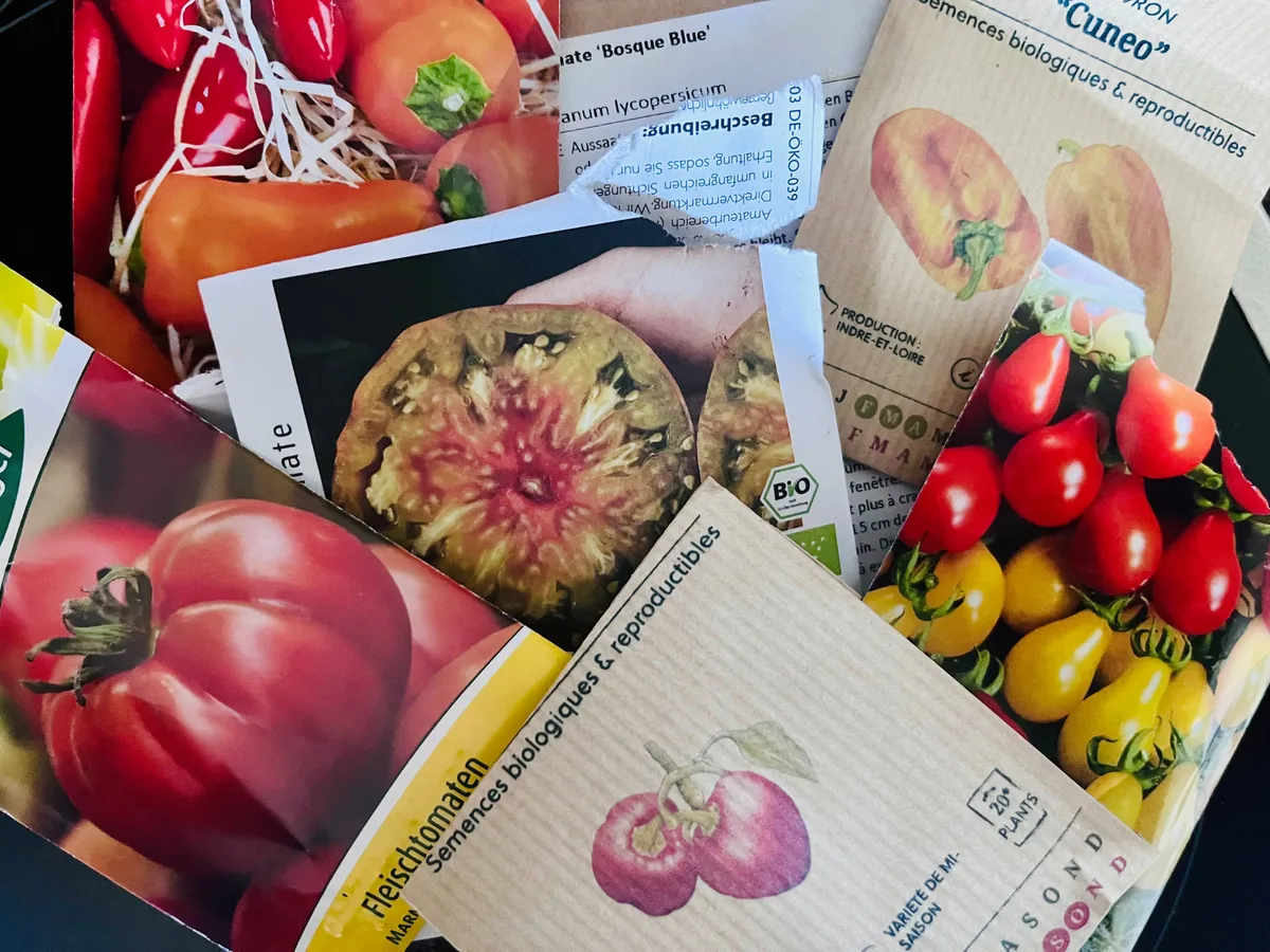 Verschiedene Samenpäckli von Tomaten und Peperoni liegen auf einem Tisch verstreut.